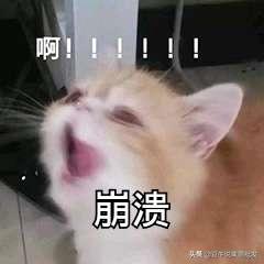 陕西商洛下冰雹视频,商洛市发布冰雹橙色预警