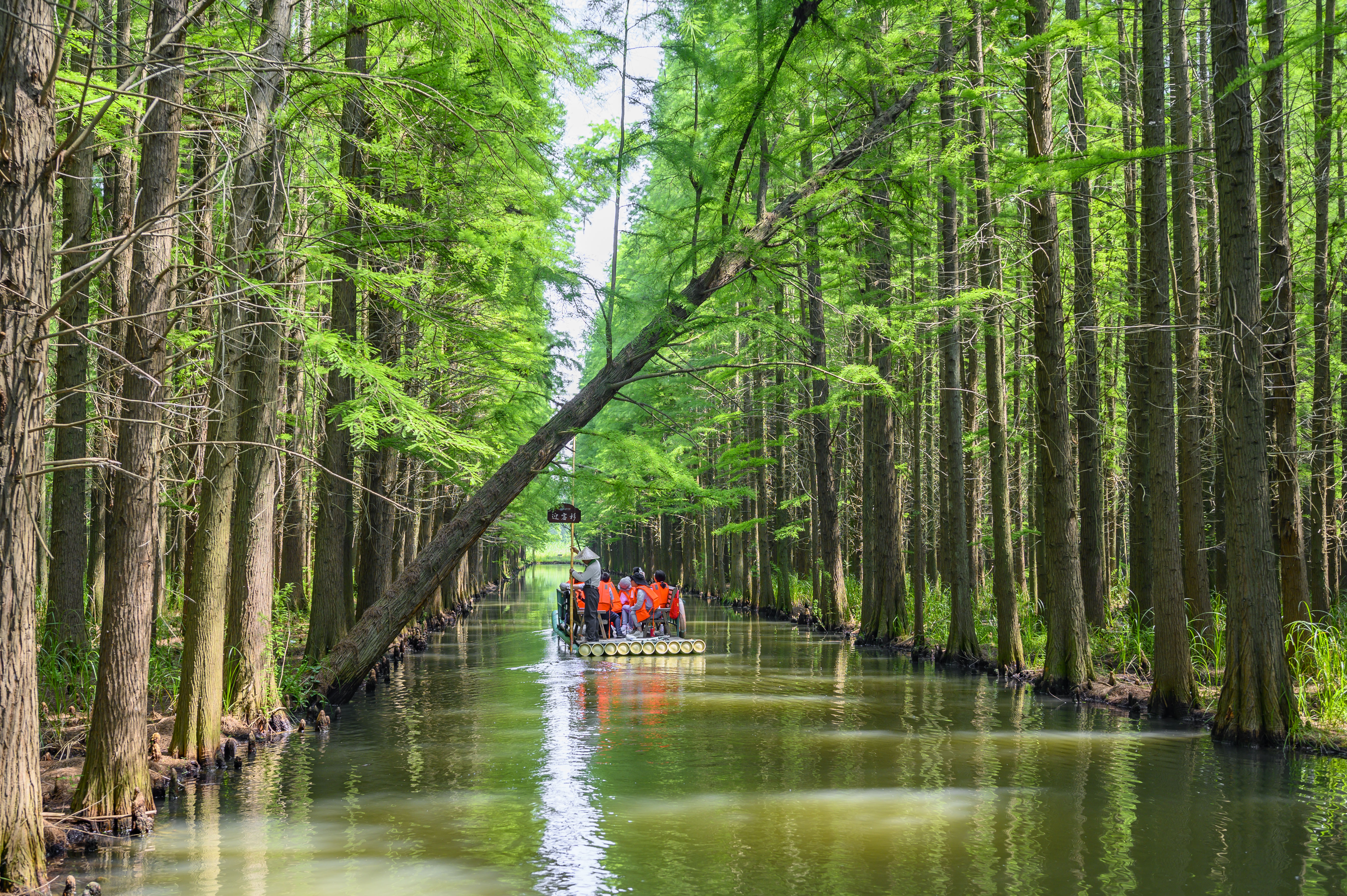 江苏金湖县小龙虾,江苏金湖小龙虾