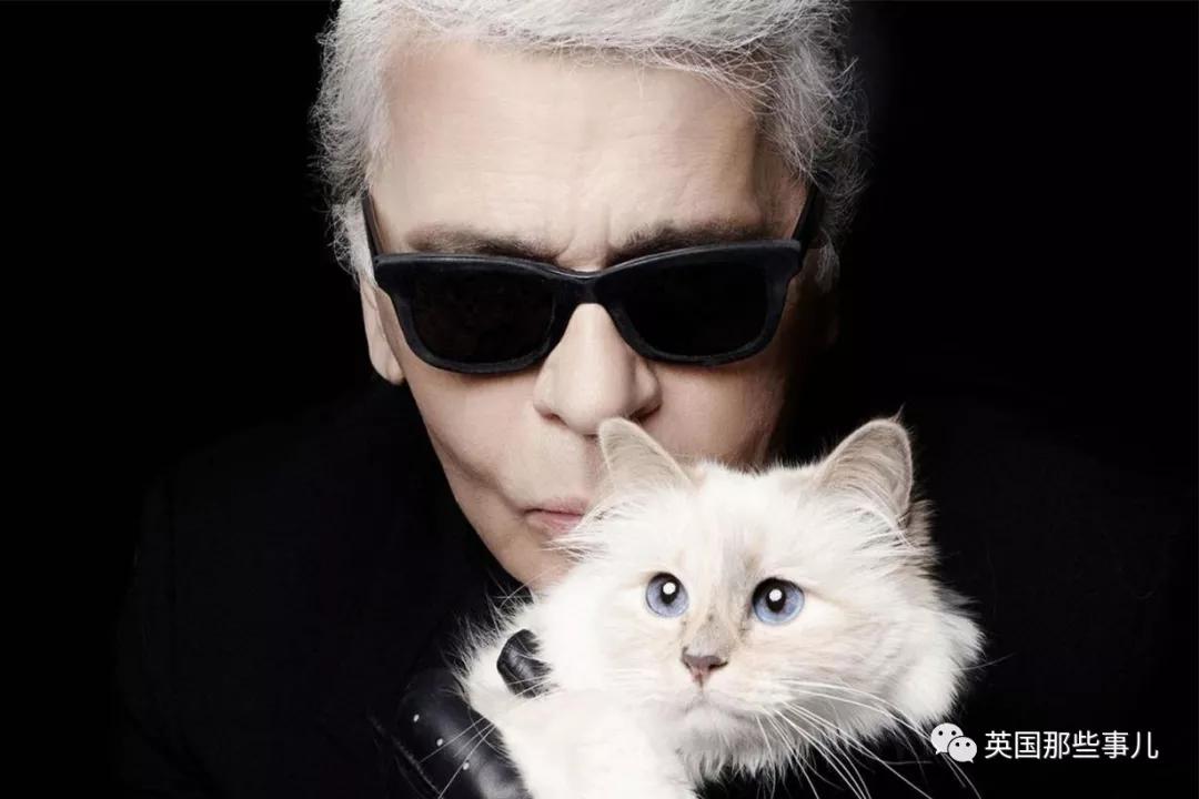 老佛爷的猫继承多少遗产,老佛爷去世后财产留给了一只猫