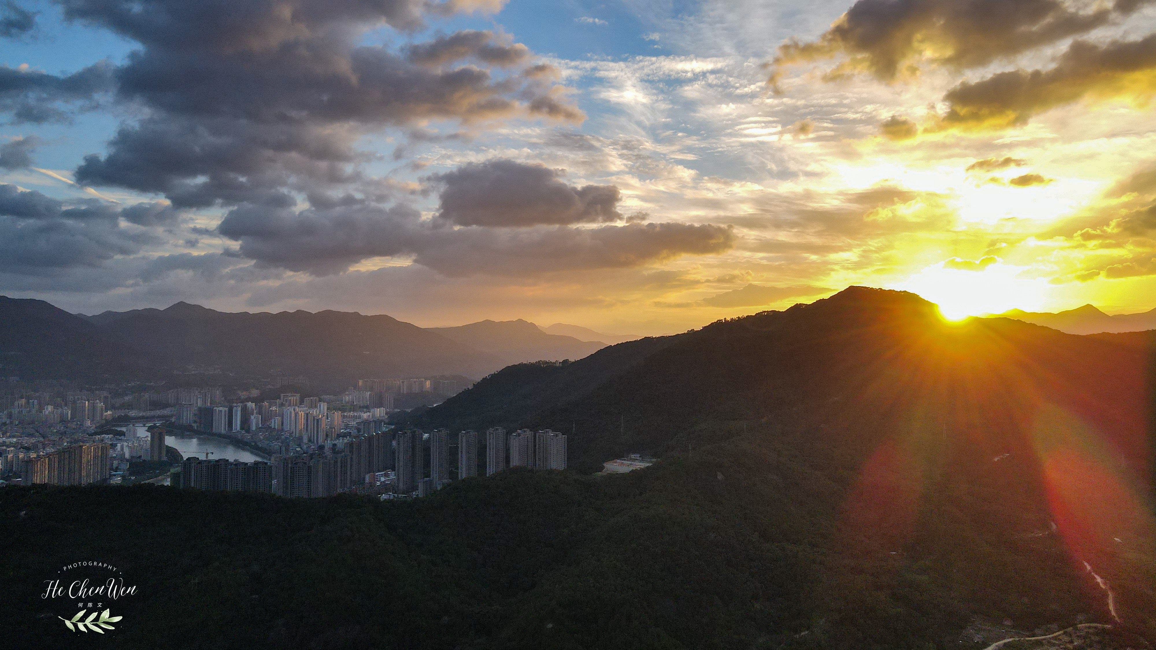 中国十大品牌铁观音茶叶,铁观音福建中国十大名茶