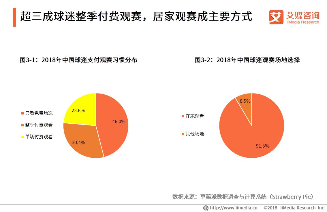 中国足球发展研究报告,足球产业投资分析
