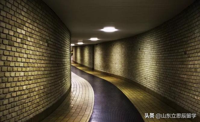 奥胡斯大学毕业,奥胡斯大学在哪