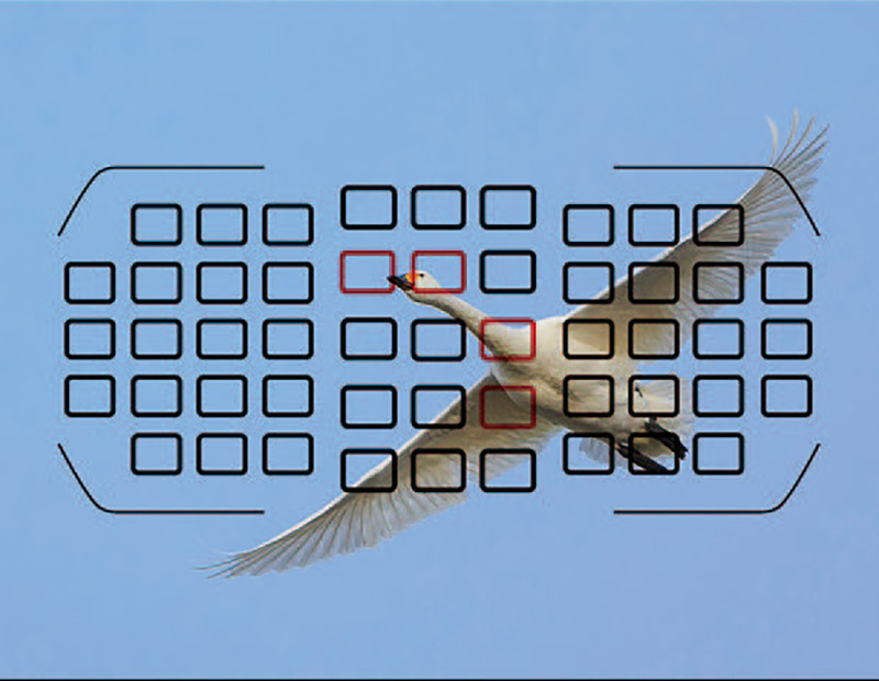 自动对焦镜头怎么用,电脑摄像头自动对焦