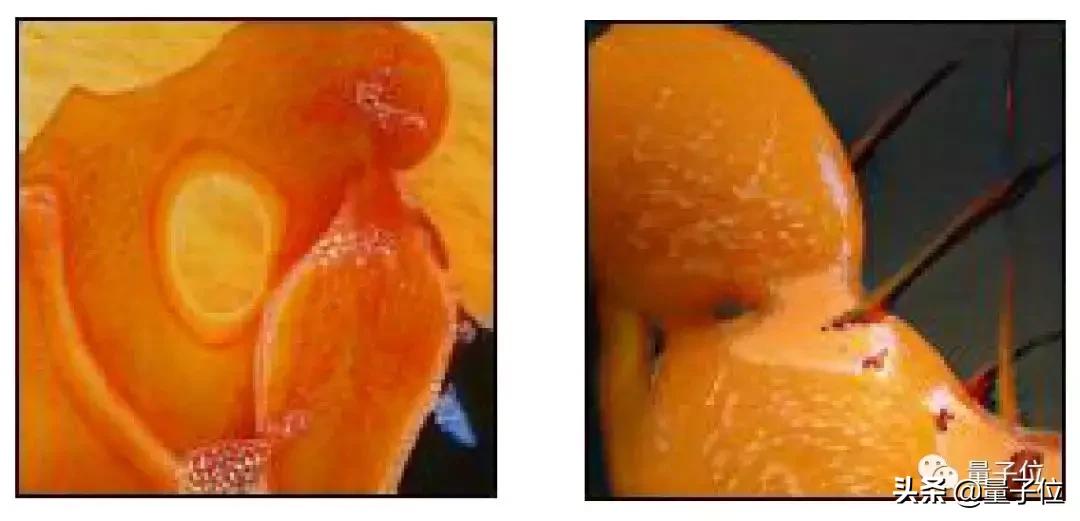 deepmind研发新算法,机器学习深度学习基础tensorflow