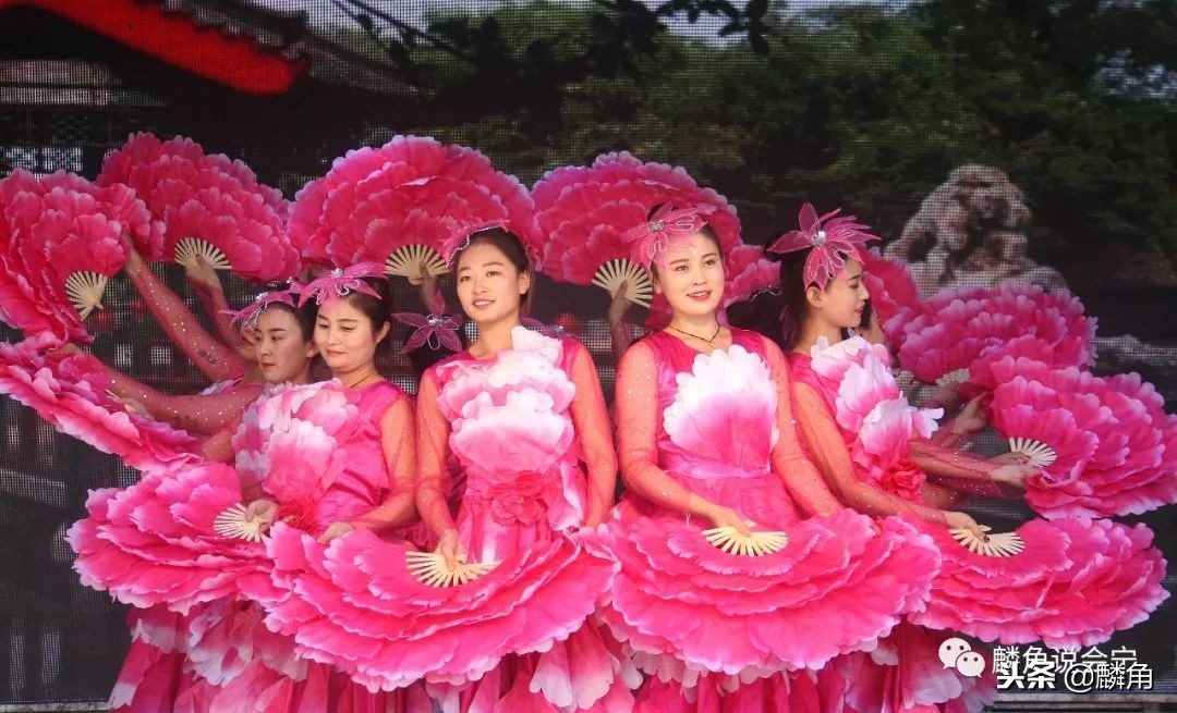 会宁新塬杨坪,会宁新塬镇杨坪村