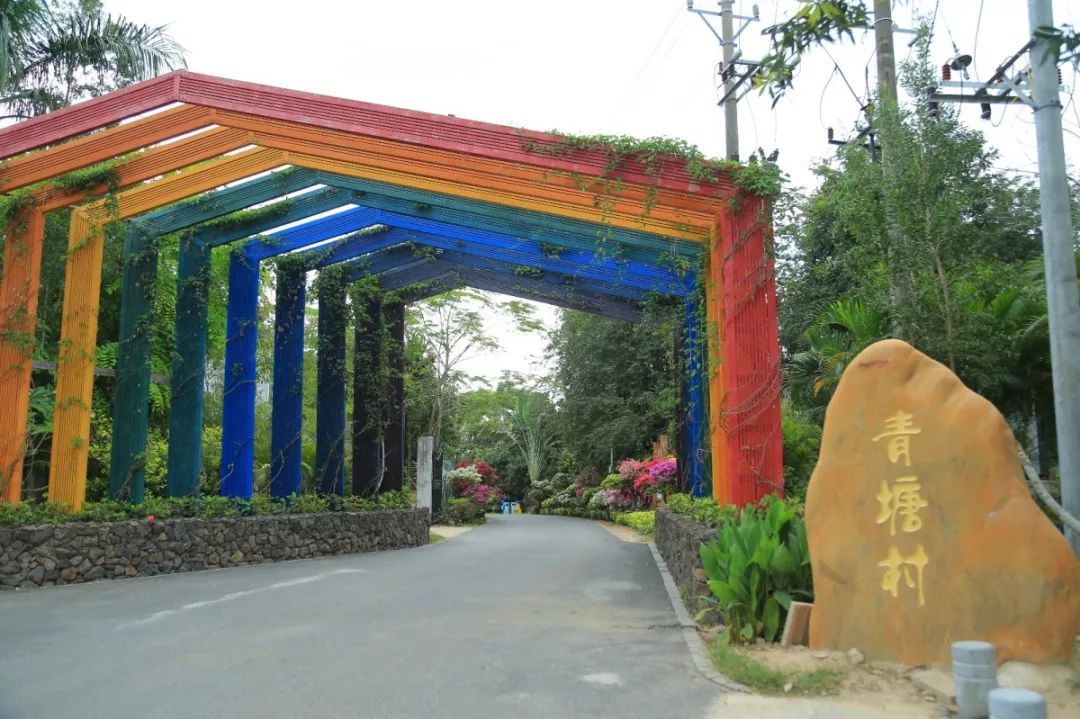 青塘会员卡正式上线，粉丝福利送不停！！！