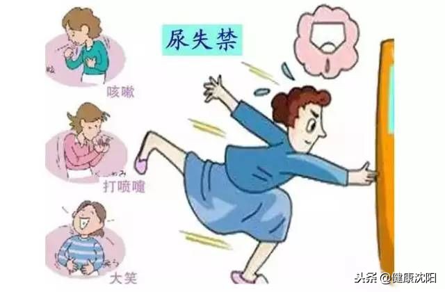 科普盆底肌的知识,健康科普堂心理防护