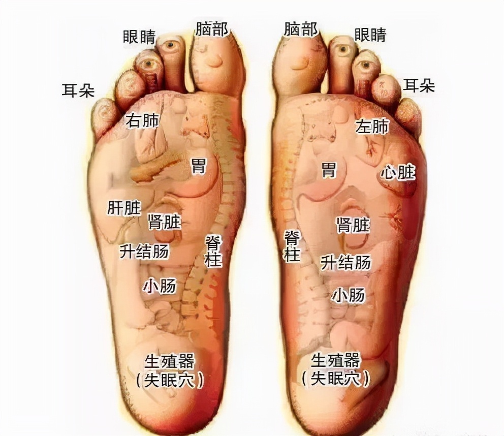 秋天泡脚养生效果不比吃补药差,中草药泡脚与热水泡脚