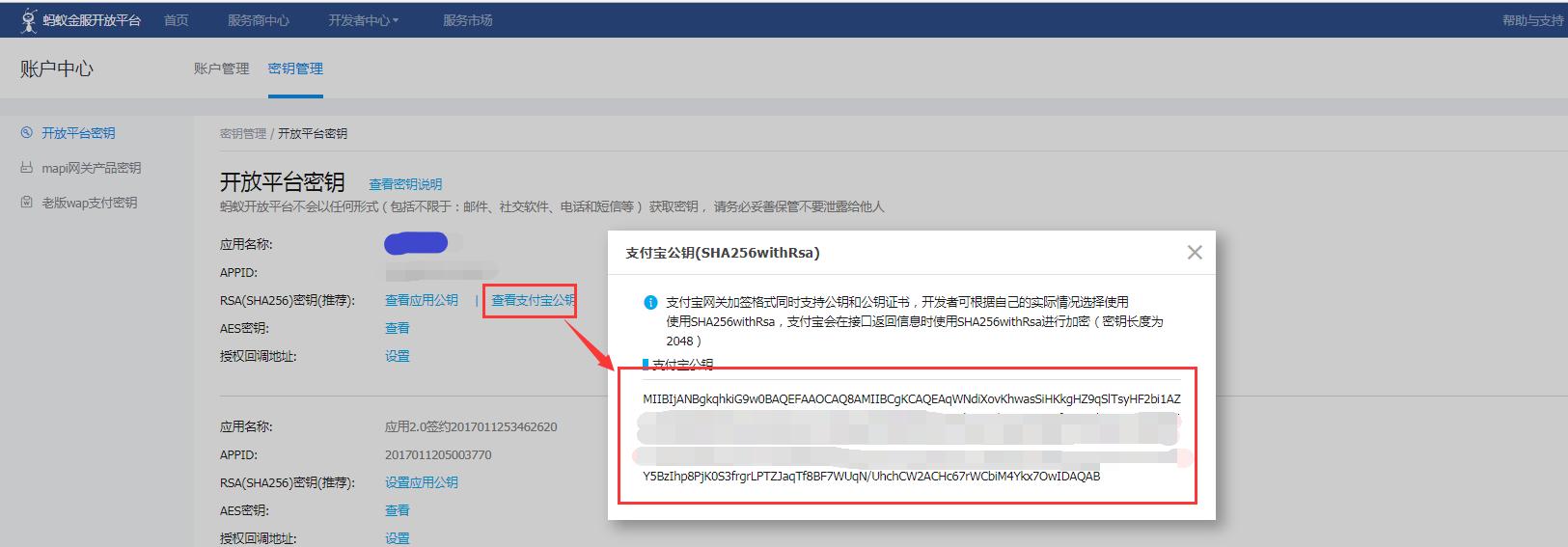 支付宝青年账号可以支付吗,支付宝如何申请支付接口
