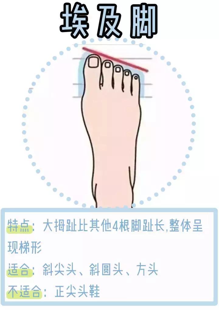 三种脚型怎么选鞋子,三种脚型图解大全