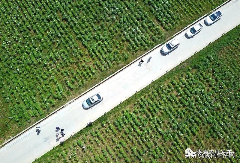 我叫成县，这是我2019年的自拍照