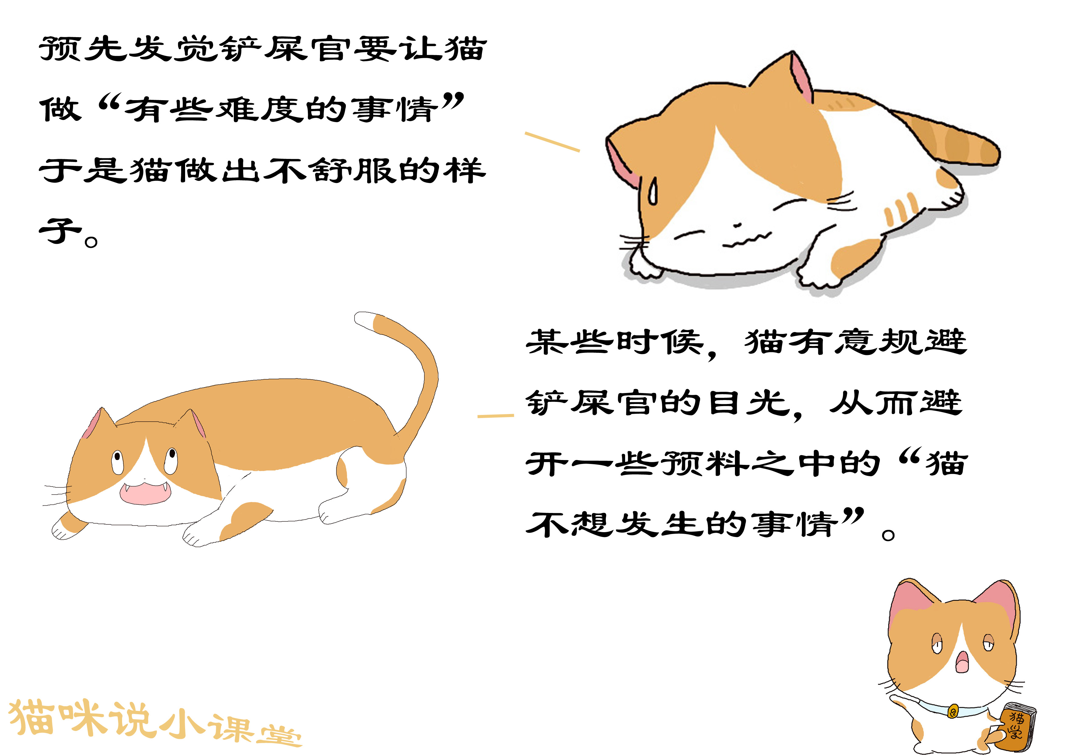 猫的敏锐听觉,猫的触觉非常灵敏是什么在起作用