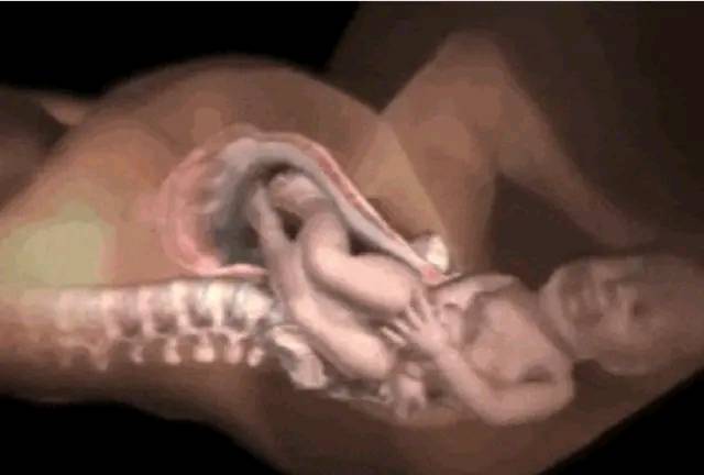 女人顺产除了痛还有什么症状,女人顺产和剖腹产都怎样的疼痛