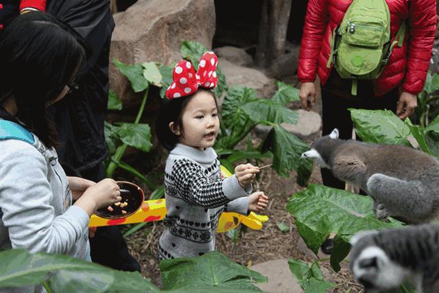 佛山亲子游玩团购推荐,佛山亲子套票一大一小