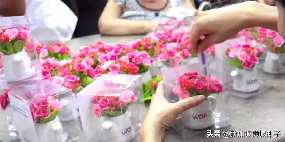 今天，看到新加坡老师收的礼物，家长集体沉默了...