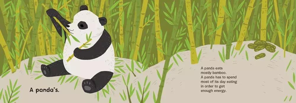 给孩子的自然故事绘本,讲给孩子的自然科普绘本