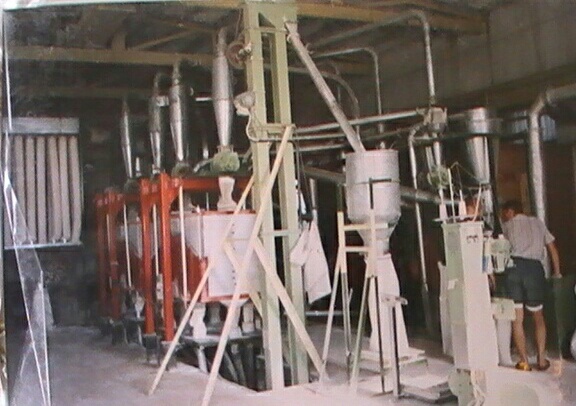 一把韭菜的故事,一把韭菜的回忆