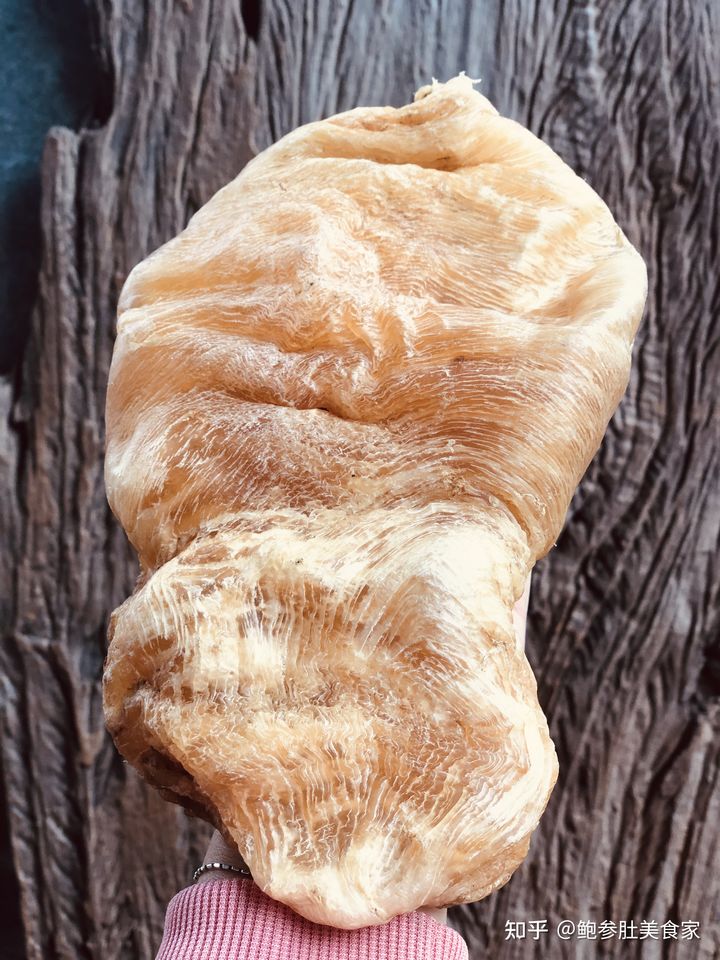 大门楼鲍参肚｜巴沙胶＝合成胶？这样的花胶白送都白送都不要