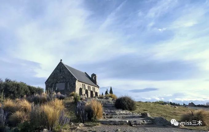 新西兰自驾游需要注意什么,新西兰自驾游要带什么东西