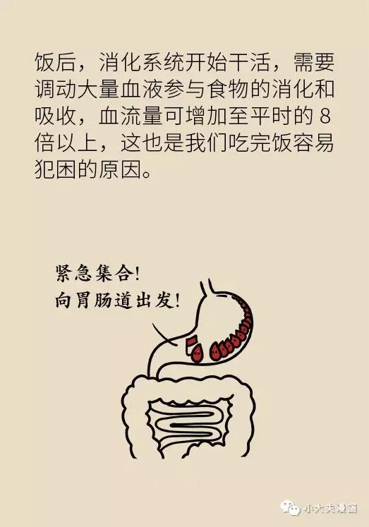 小孩子做了小肠气手术注意什么,儿童小肠切除后遗症