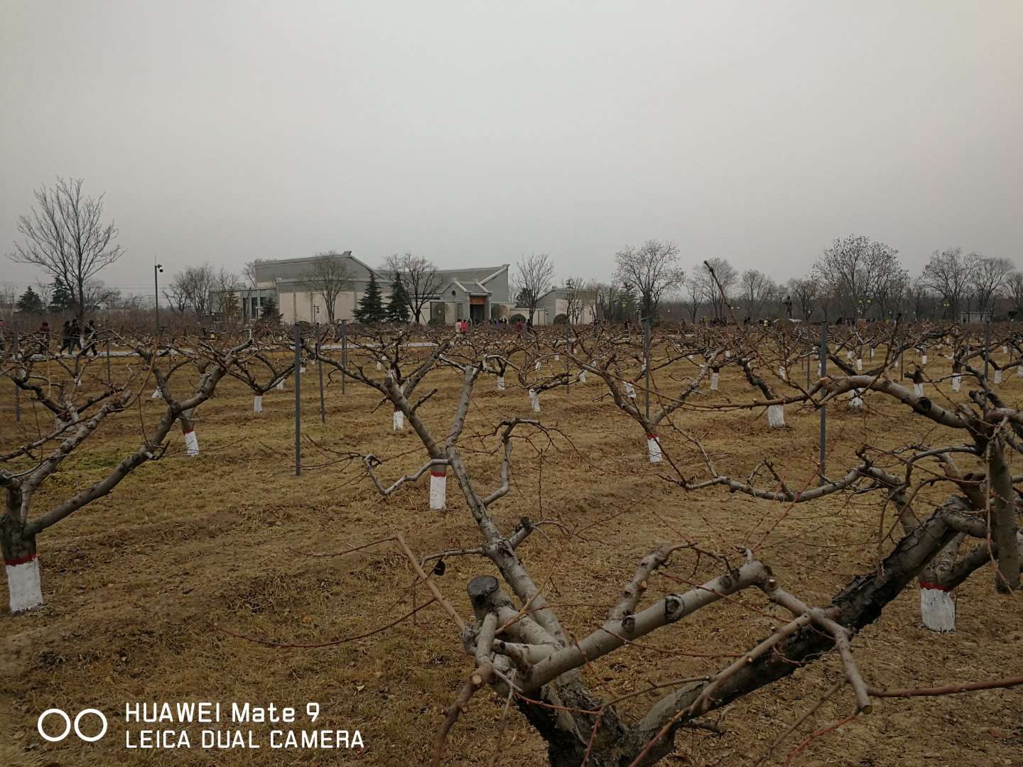 三农乡村振兴陕西,富平乡村振兴