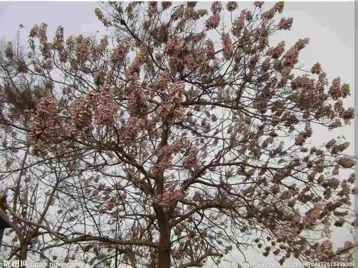 西山经解读,西山经图谱大全