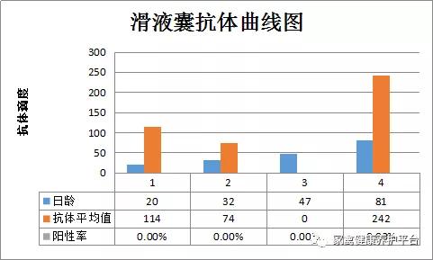 产蛋鸡没滑液囊还需要预防吗,滑液囊支原体对产蛋鸡有后遗症吗