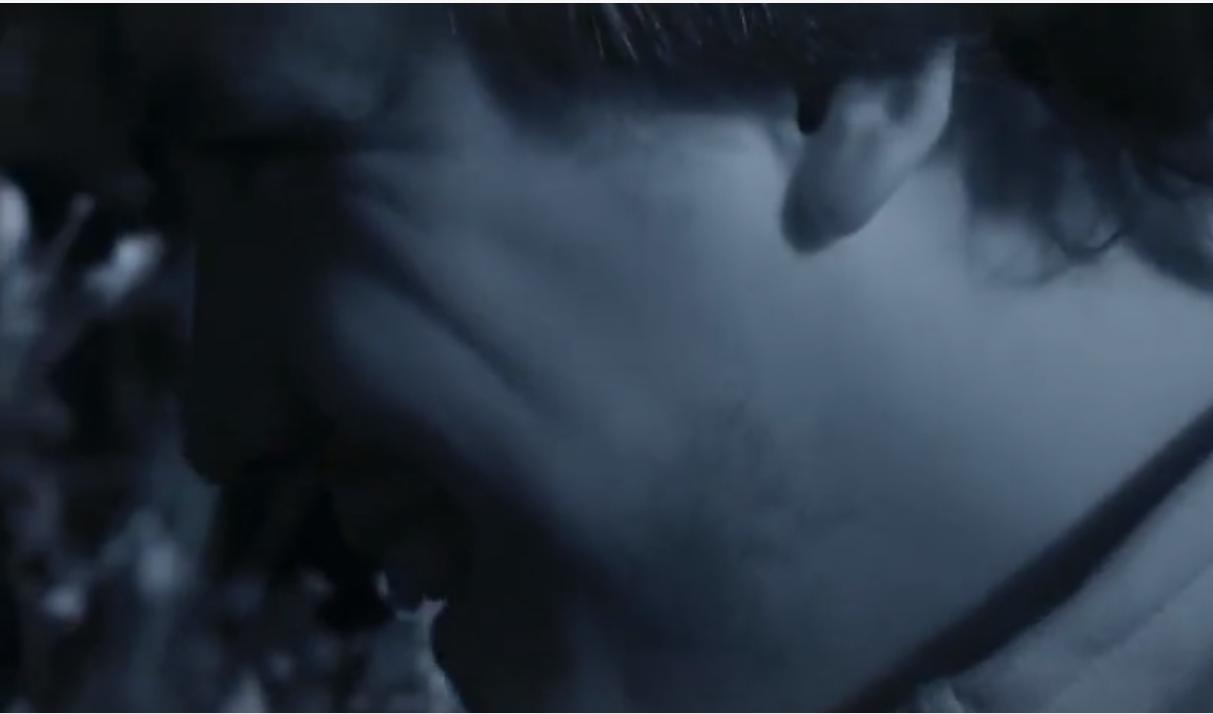 永不服输的蜜獾,曾经有一个保护区饲养了两只,后来怎么样了?