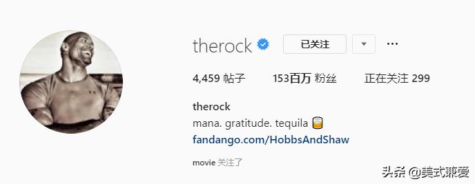 巨石强森的幸福生活,巨石强森2019婚姻