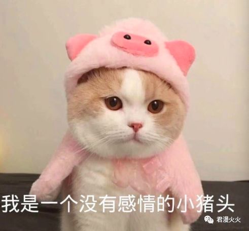 普通人每天八卦多长时间,普通人的八卦有多惊人