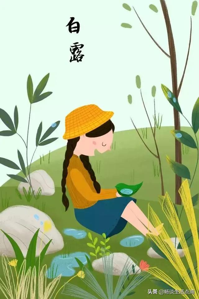 处暑不露身寒露不露脚是什么意思,白露不露肉寒露不露脚