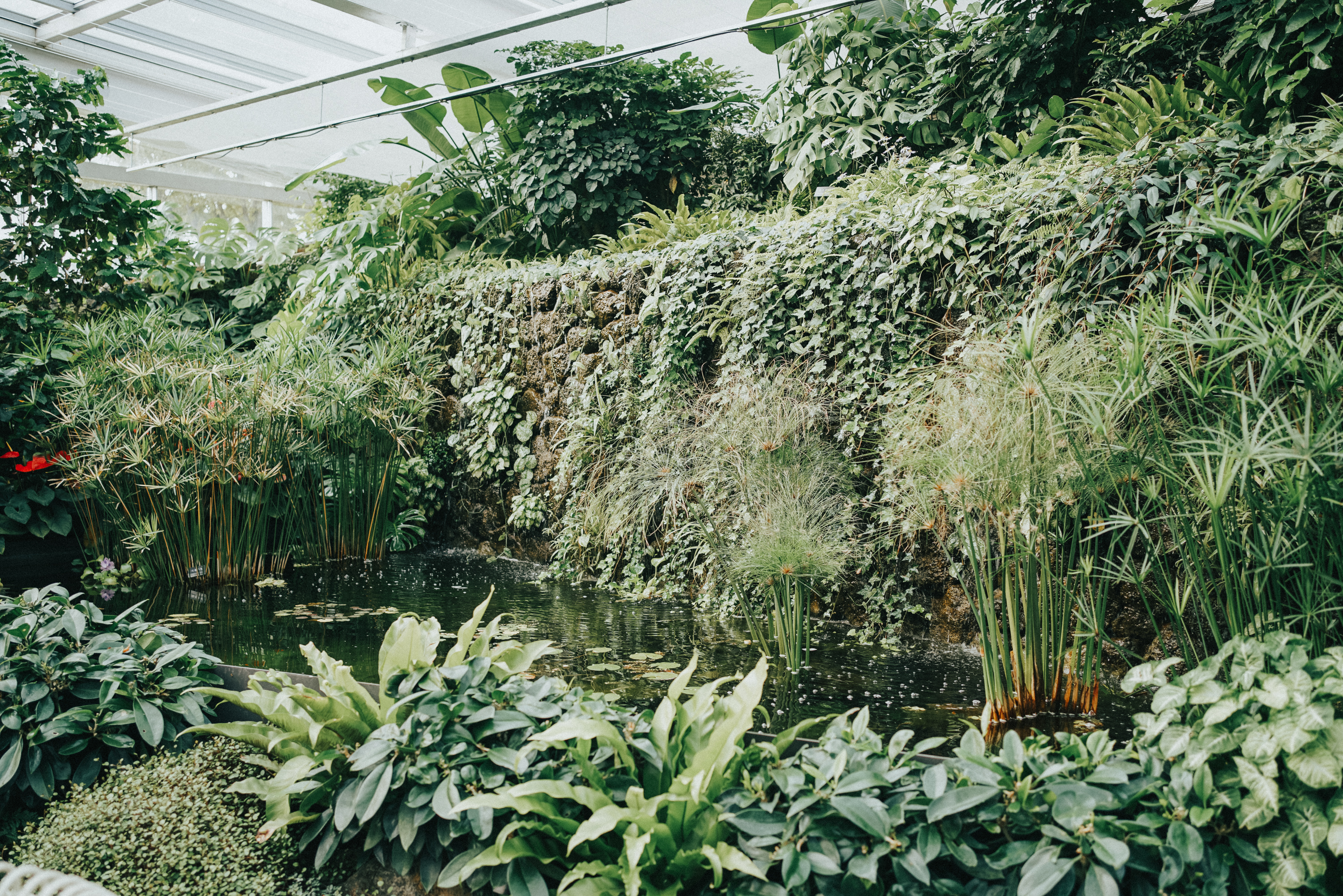 韩国旅游浪漫之行,韩国旅途中的邂逅