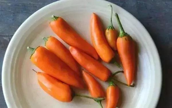 全世界辣椒排行榜前十,世界上十大辣椒排行榜