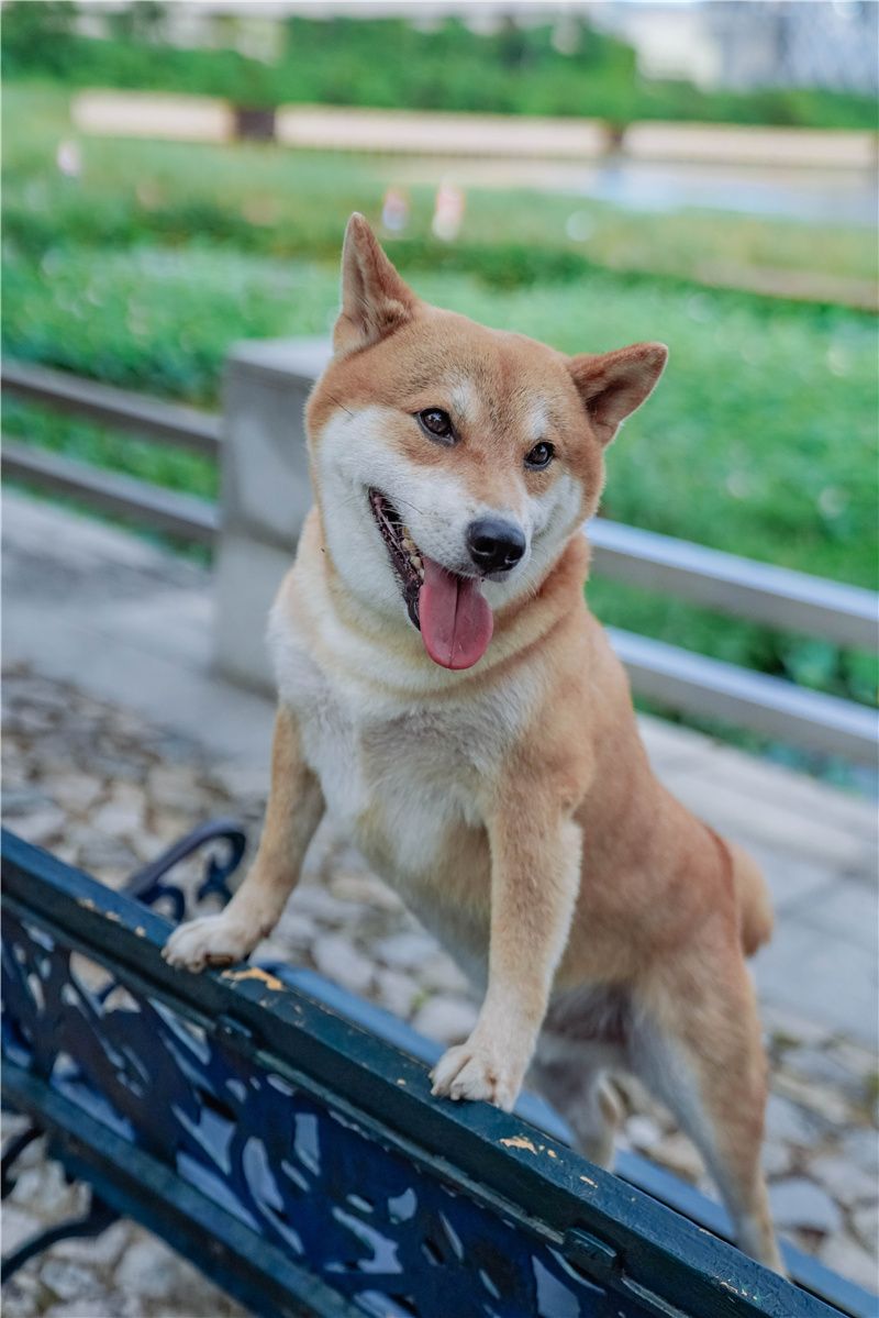 澳门最有名的景点大三巴,澳门必去景点之大三巴网红打卡地