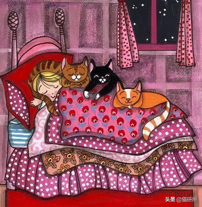 猫咪总是打扰主人吃饭怎么办,猫咪总是打扰我睡觉怎么办