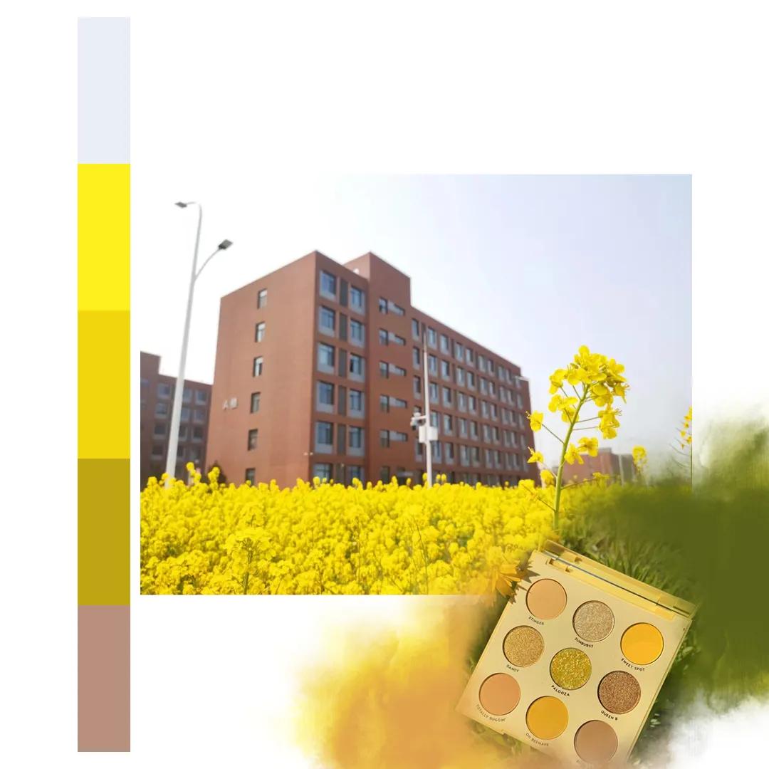 鐩存挱閭兏娌冲寳宸ョ▼澶у,娌冲寳宸ョ▼澶у缇庡