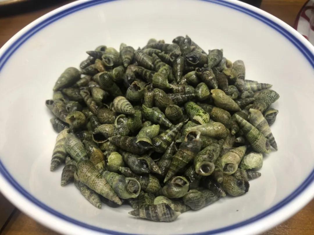 开海什么海鲜最好,开海季肥美海鲜