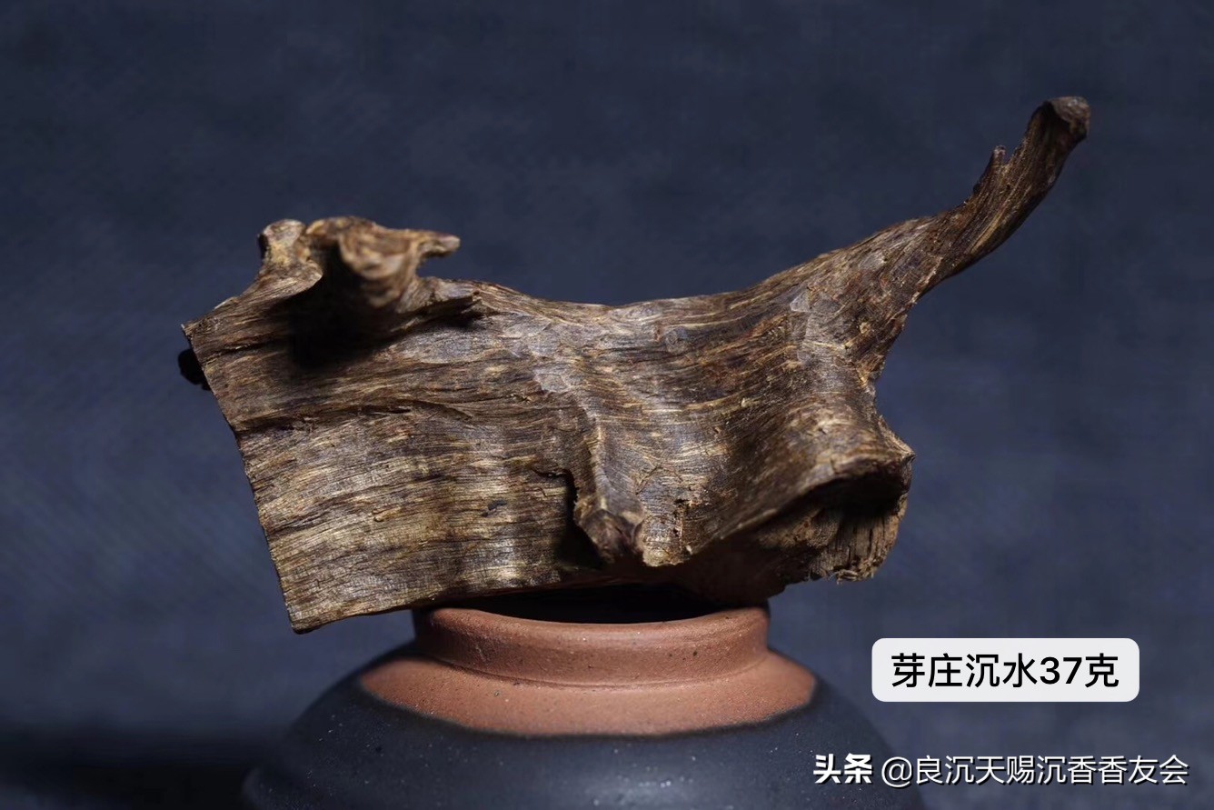 越南最好的沉香是什么,越南最好的沉香叫什么