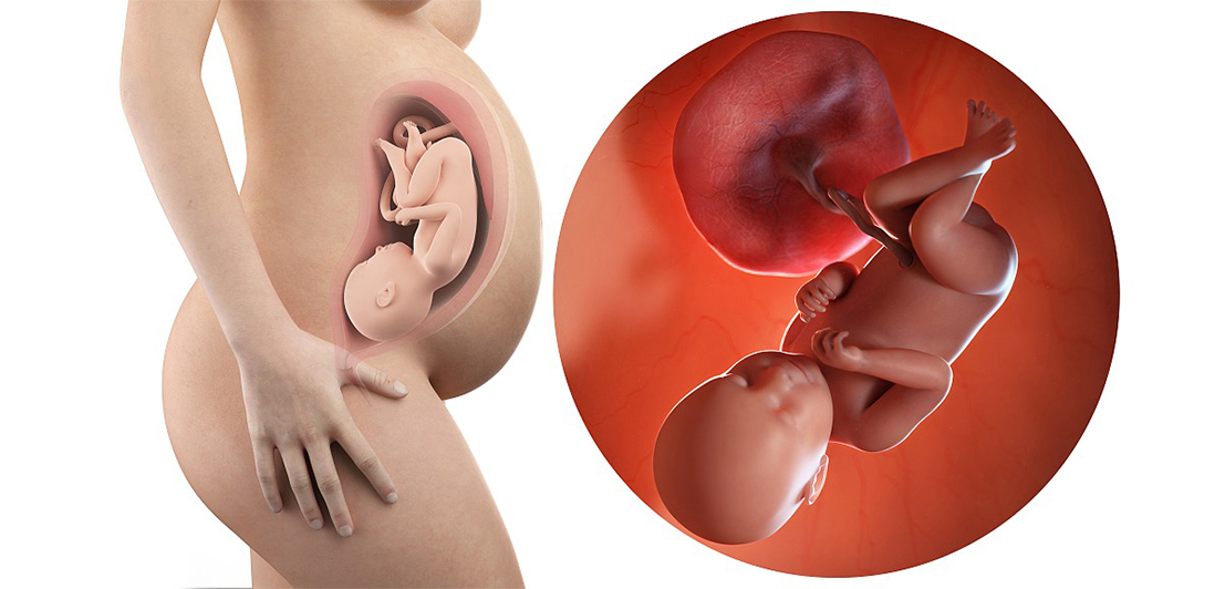 孕7周胚胎发育缓慢怎样才能更好,胎教0-6个月完整版