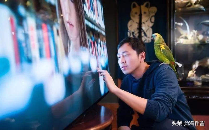 水哥都上过哪一期最强大脑,水哥最强大脑最新的表现