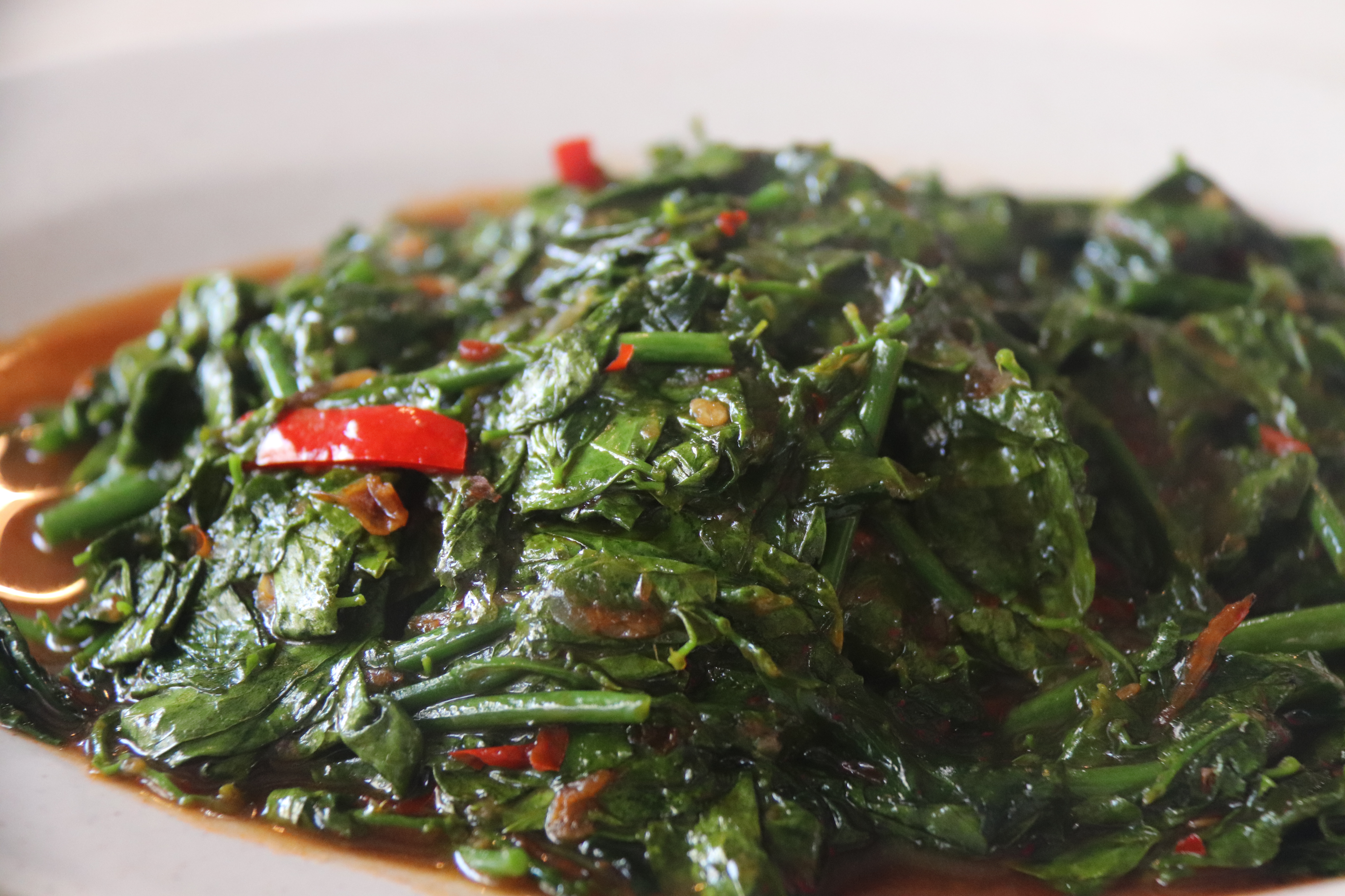 2018马来西亚之旅留影,2019回眸