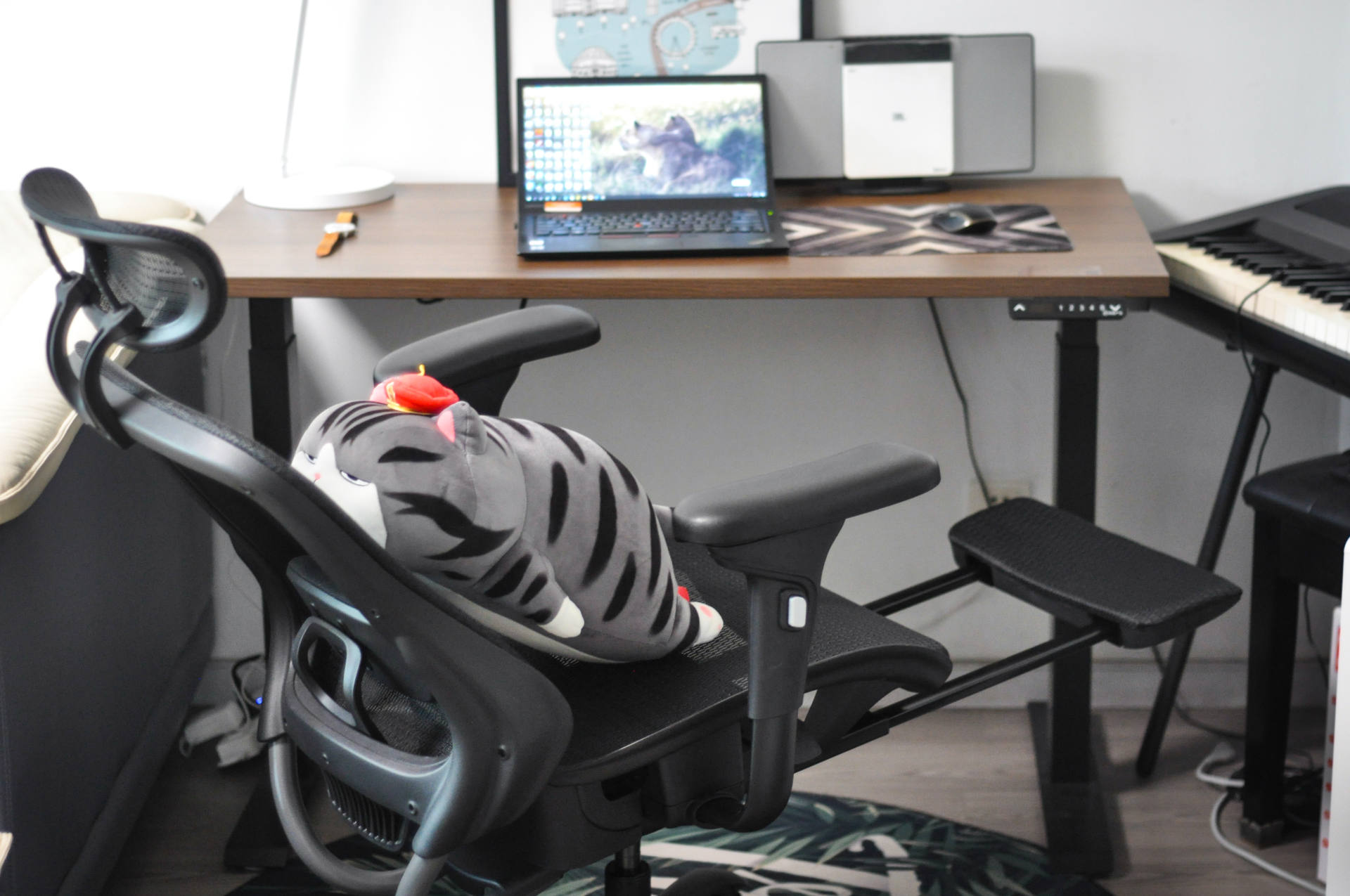 网易严选e1人体工学椅评测,千元性价比人体工学椅