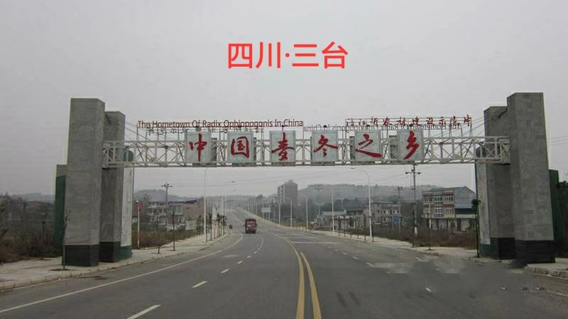 不负韶华我们都是追梦人公益广告,不负韶华我们都是追梦人完整版