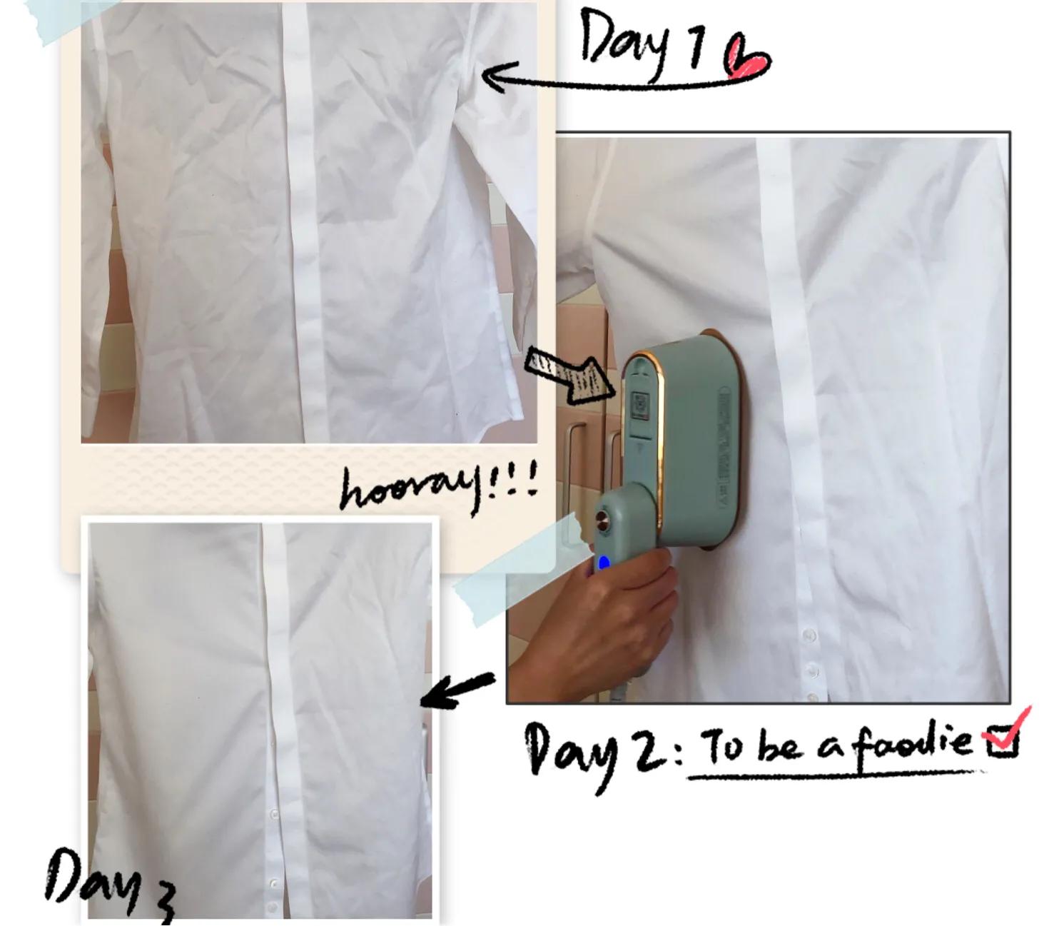 大宇手持挂烫机家用小型蒸汽熨斗,韩国大宇手持挂烫机