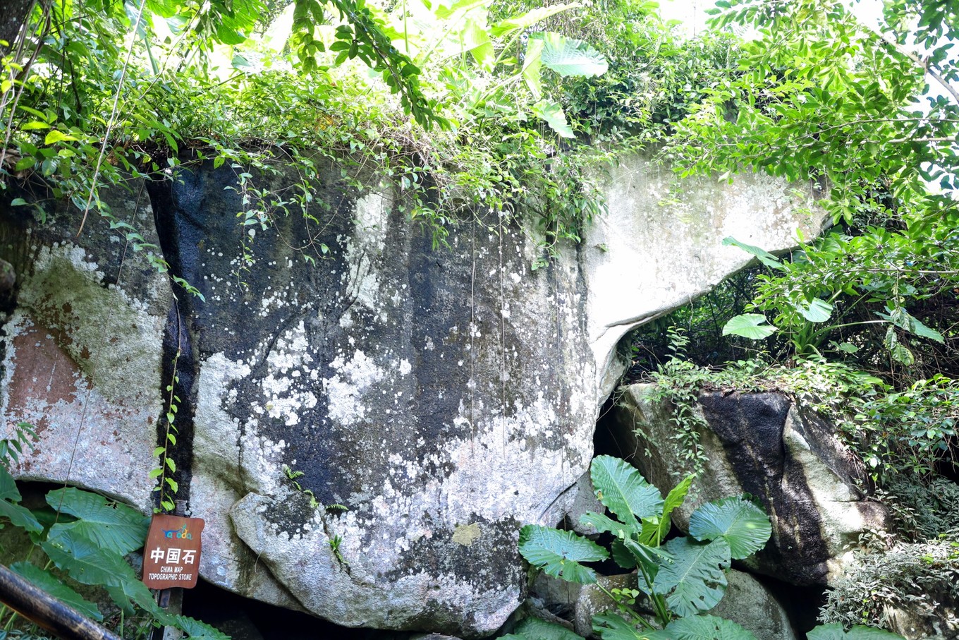 呀诺达雨林探险是什么,三亚呀诺达雨林正规吗