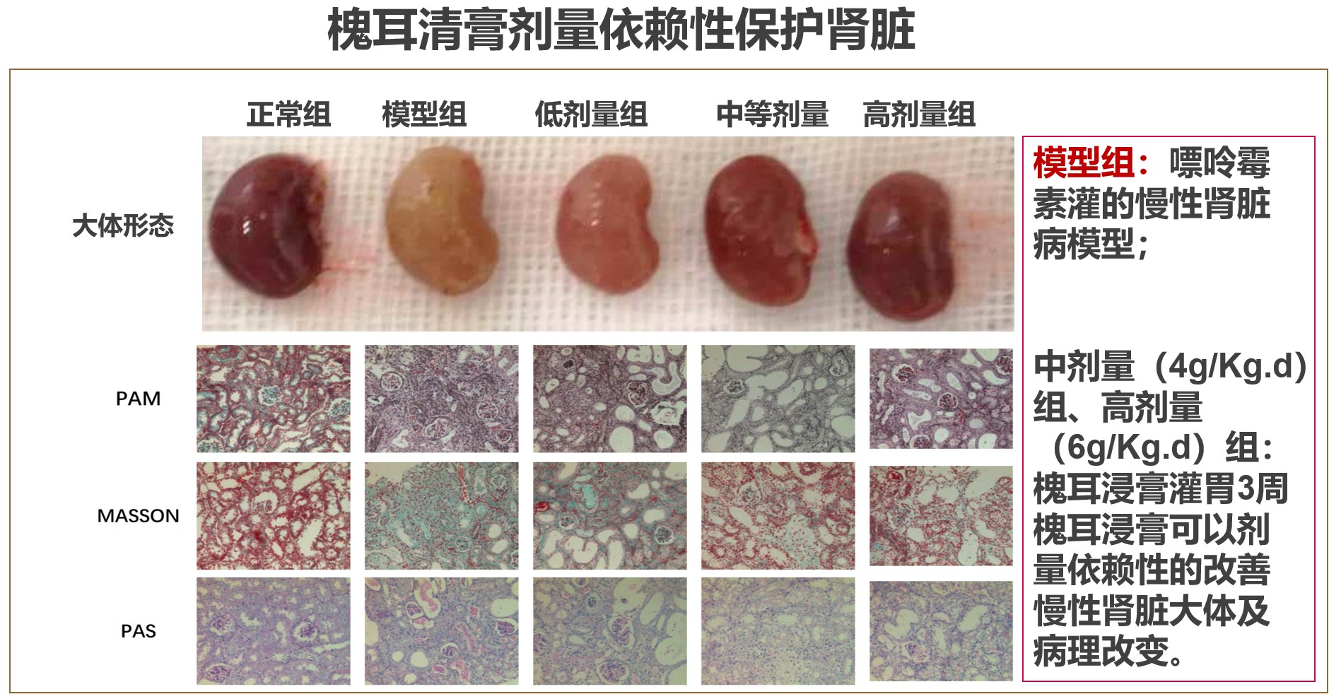 槐杞黄颗粒能治什么病,槐杞黄颗粒治肾炎新突破