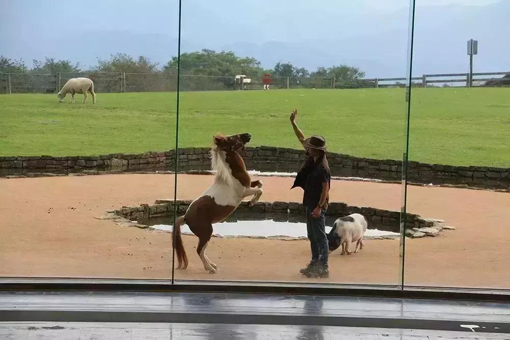 日本农场营收10亿经营秘诀,日本妈妈牧场怎么运营