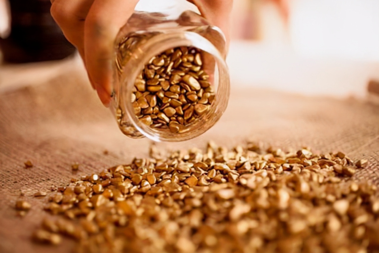 外蒙古黄金,外蒙古黄金矿产资源