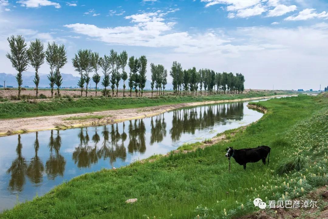 内蒙古巴彦淖尔有多美,巴彦淖尔有多美
