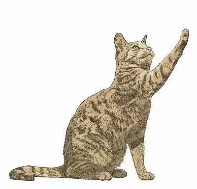 解析女性的各种*梦春**——是否有一种你做过？